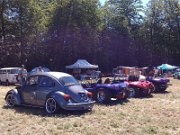 Beetle Show Rioz (10)